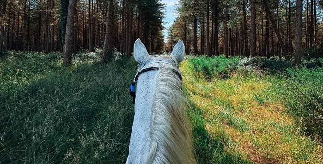 Purpose-driven wellbeing travel