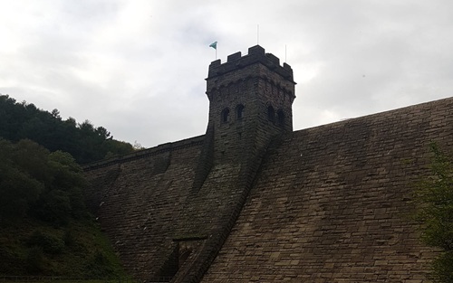 Structured Research & Insights