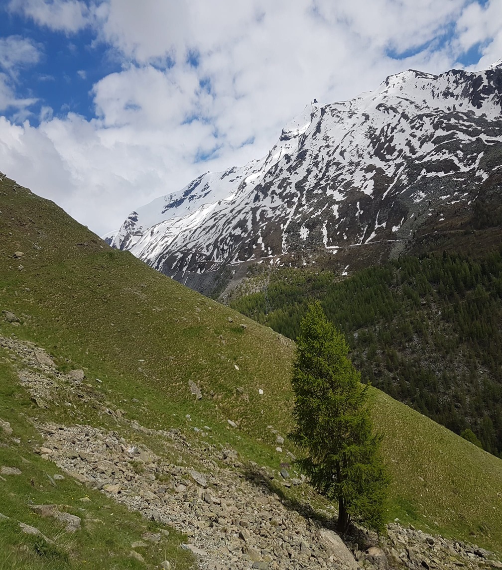 Safe and supportive wellbeing travel